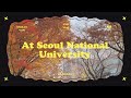 서울대에서의 11월🍁 | 기계공학과 가방에는 너트드라이버가 있더라…🔩 | 서울대 일상 브이로그