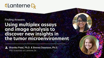 Advancing Cancer Research: Multiplex Assays and Image Analysis in the Tumor Microenvironment