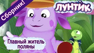 Лунтик - Главный житель поляны. Сборник мультиков Лунтик - Главный житель поляны. Сборник мультиков
