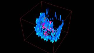 Multi channel volume rendering with VTK(Activiz)