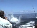 【超危険衝撃!!】カジキを釣ってたら襲われた恐怖瞬間!! Amazing danger fish