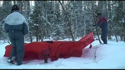 Путешествие на собачьих упряжках