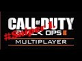 Black Ops 2 / Multiplayer / Kill with sniper