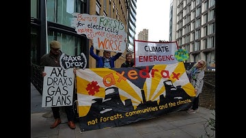 Bio-energy with Carbon Capture and Storage - Biomass Myth Busting