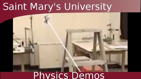 Monkey & Hunter 2: Bigger Monkies