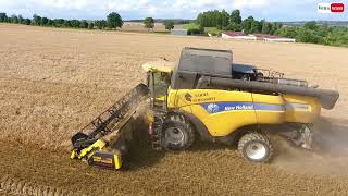 Farma Strnadovi  Ždírec  New Holland CX8080  Žně 2021 Kamenná u Jihlavy CZ