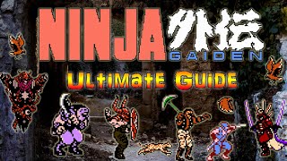 #NinjaGaiden #ShadowWarriors #NinjaRyukenden Ninja Gaiden - NES - ULTIMATE GUIDE! screenshot 3