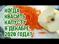 Когда квасить капусту в декабре 2020 года? Агрогороскоп