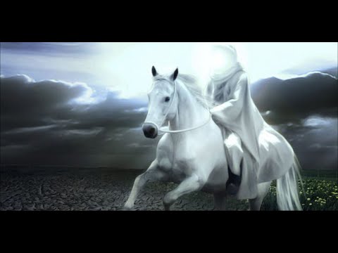 السيد الحيدري بين كتاب اليواقيت و تفسير القمي الشيخ الغزي