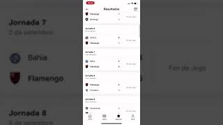 Pros flamenguistas todos os jogos do Flamengo do Brasileirão e da libertadores
