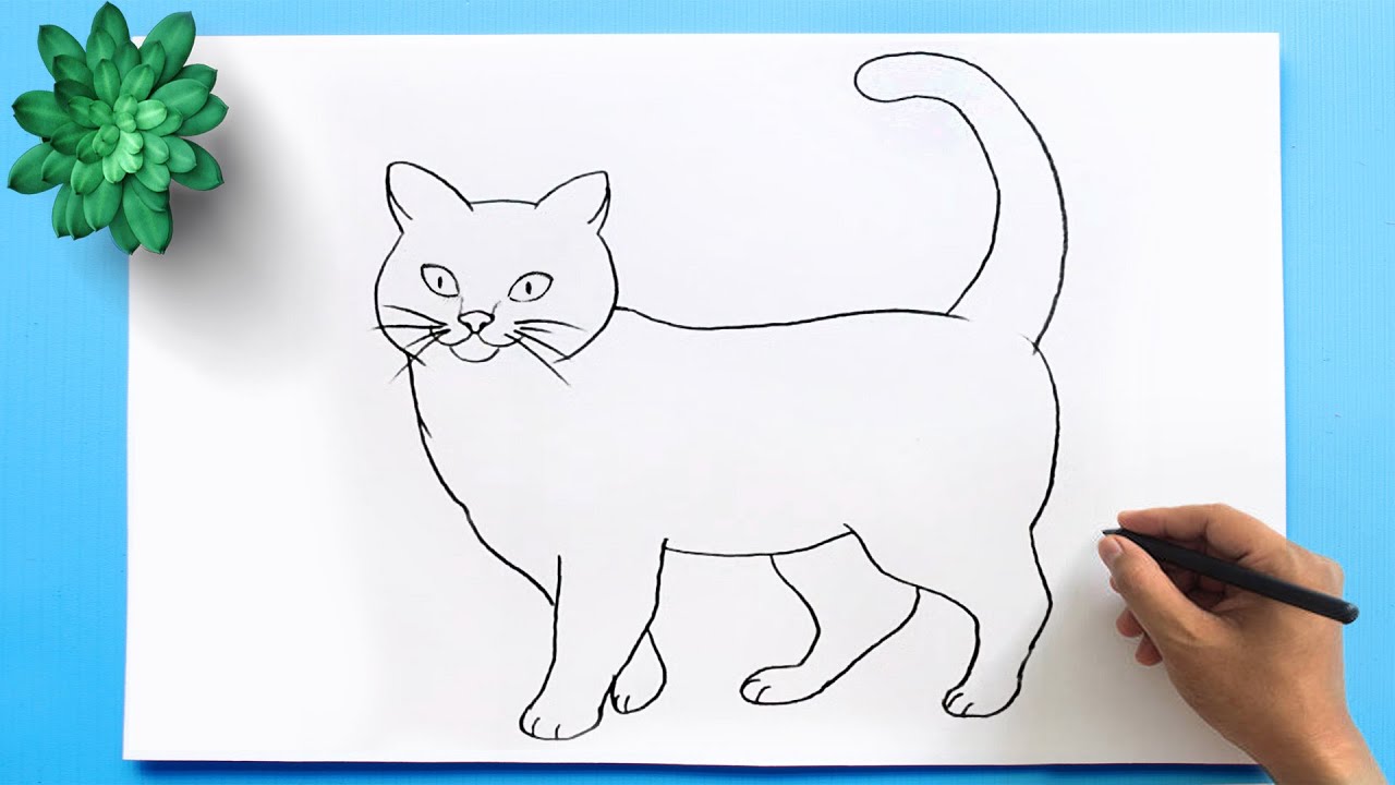 21 Easy Cat Drawing Ideas - Craftsy Hacks