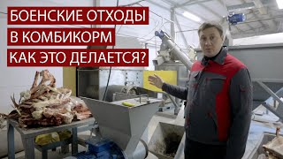 Переработка боенских отходов в комбикорм. Как устроена линия компании Экспро М.