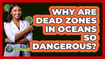 Why Are Dead Zones In Oceans So Dangerous? - Earth Science Answers
