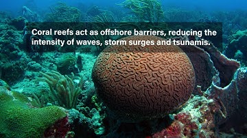 What is Integrated Coastal Zone Management (ICZM)?