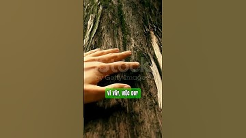 Sức khỏe là tài sản quý giá nhất của mỗi con người.