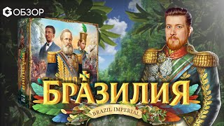 БРАЗИЛИЯ - ОБЗОР настольной игры от Geek Media