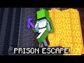 Dream Escapes Prison on the Dream SMP!