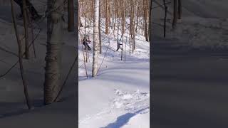 雪场小树林到底多好玩？姐妹俩也就玩了5·6·7·8趟吧！｜蒙特利尔宝宝滑雪｜Ski sanit-bruno ｜加拿大冬天春假滑雪