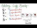 HUMAN ANATOMY - ROTATOR CUFF MUSCLES ALONG WITH BONY LANDMARK OF HUMERUS AND SCAPULA