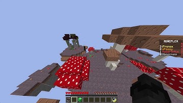 Mineplex - Teamers in SSM