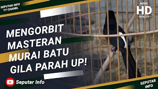 MENGORBIT!! MASTERAN MURAI BATU!! GILA PARAH TOTAL ABIS |  eMeS PRO