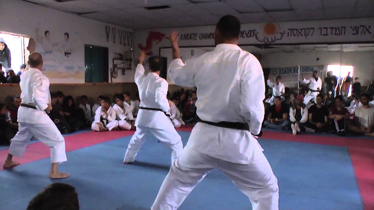 Taglit with Budo for Peace