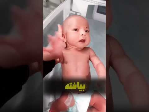 جدیدترین و دقیق ترین اطلاعات