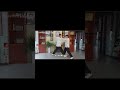 Don't just run, counter: Wing Chun defensive footwork #wingchun #kungfu #martialarts #selfdefense