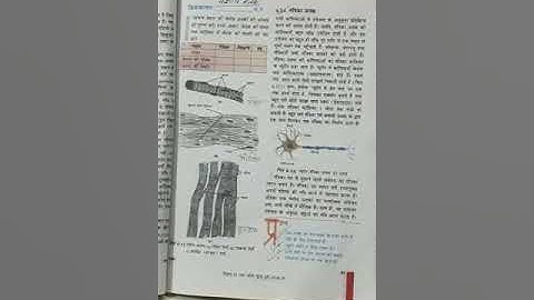 Tissues Lect 5 | Science | Class 9 UP Board | By Shashi Gupta | GGIC PHAPHAMAU