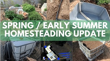DRIP IRRIGATION INSTALL | IBC WICKING BED BUILD |  ESPALIER UPGRADE | SPRING - SUMMER 2025