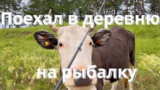 Дубовый Мыс. Нанайский район. Рыбачим в деревне.