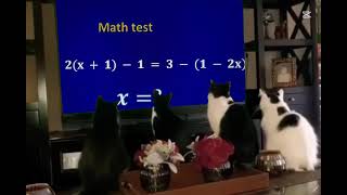 Math Masters,Algebra Beyond, Infinite Numbers, Math Explorers, The Math Lab, Pi Beyond, Math Hacks