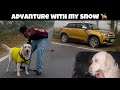 Advanture in car with my dog | Road trip with my Dog 🐶 |Labrador @Bvvlogs03