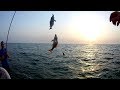 صيد عدة انواع من  أسماك ال(شعور) في جدة البحر الأحمر Fishing in Jeddah Red Sea