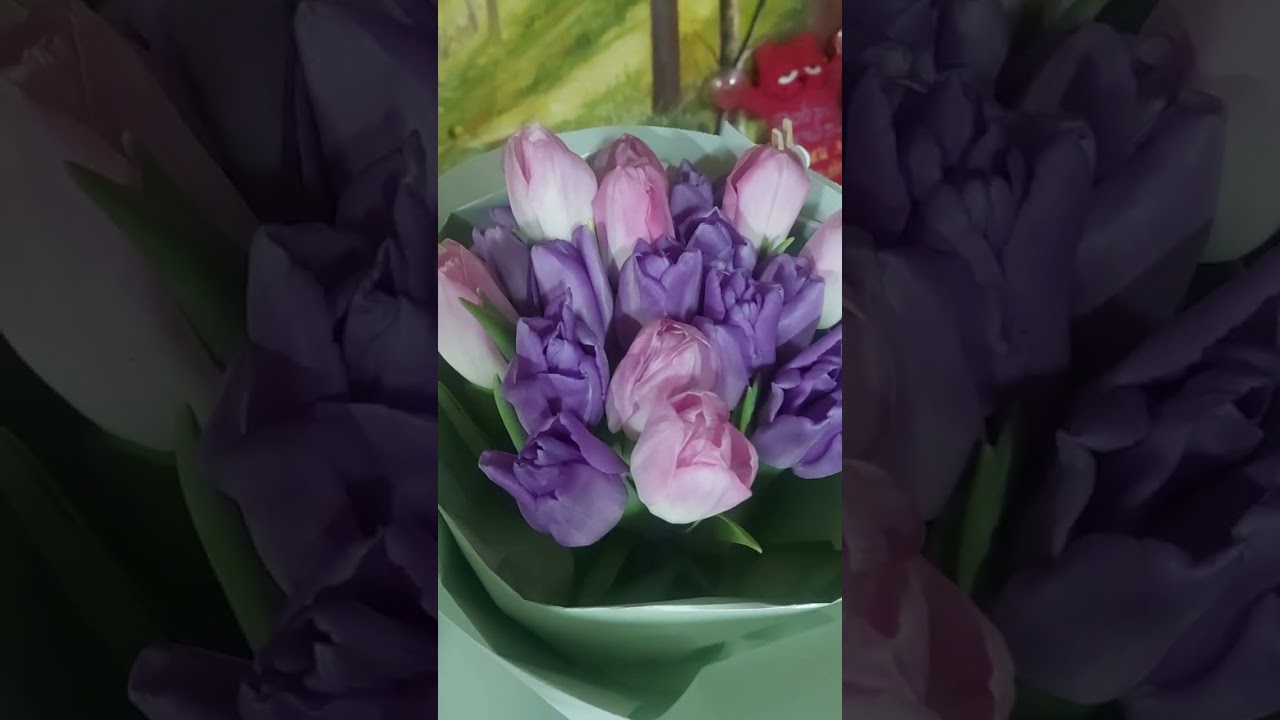 Просто немного о своём@А мы такие!