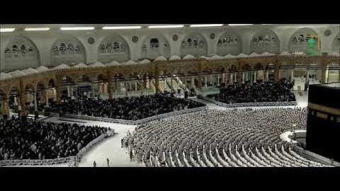 سورة التكاثر بصوت الشيخ فيصل بن جميل غزاوي من الحرم المكي الشريف 