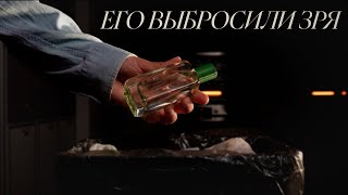 видео: Эти ароматы недооценили. И зря. картинка: Эти ароматы недооценили. И зря.