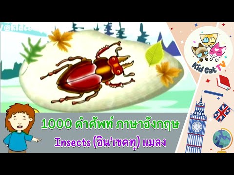 ผลสลากกินแบ่งรัฐบาล วันที่ 1 พย. 2567 ผลสลากกินแบ่งรัฐบาล วันที่ 1 พย. 2567