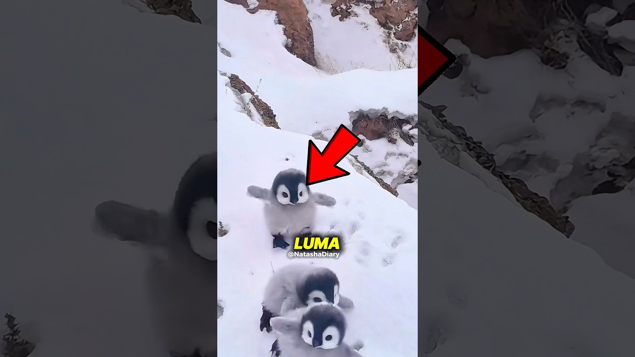 Когда любовь помогает достичь невозможного