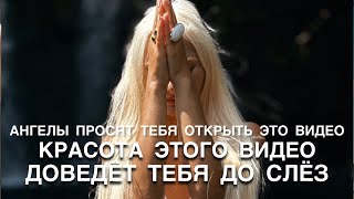 видео: ТВОИ АНГЕЛЫ ХОТЯТ ПЕРЕДАТЬ ТЕБЕ ВАЖНУЮ ИНФОРМАЦИЮ ЧЕРЕЗ ВИБРАЦИИ ЭТОГО ВИДЕО картинка: ТВОИ АНГЕЛЫ ХОТЯТ ПЕРЕДАТЬ ТЕБЕ ВАЖНУЮ ИНФОРМАЦИЮ ЧЕРЕЗ ВИБРАЦИИ ЭТОГО ВИДЕО