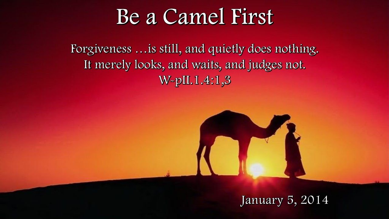 Be a Camel First with Rev. Deb Phelps