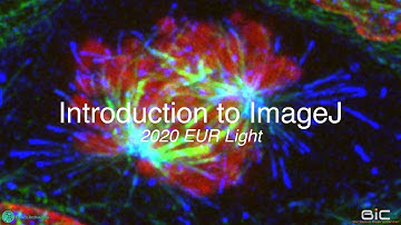 [2020 EUR Light - U-Bdx] Introduction to ImageJ: Image Processing for Scientific Illustration