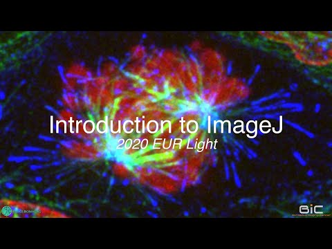 [2020 EUR Light - U-Bdx] Introduction to ImageJ: Image Processing for Scientific Illustration