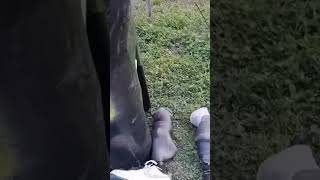 WHEN A WOMAN FROM NEW ORLEANS SAYS SHE DONE SHE MEAN THAT LOL