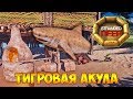 ДРУЖБА С ТИГРОВОЙ АКУЛОЙ И ПЕЧЬ ДЛЯ ГЛИНЫ - Stranded Deep #27