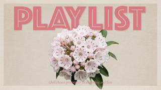 Gentle Flow | Refined Chill House for Coding, Study & Calm Focus