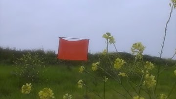 ✿ Lilbootycall ✿ - Oj In My Gucci Bag (Official Music Video)