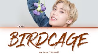 'Birdcage' - Bae Jacob (제이콥) THE BOYZ (더보이즈) [English Colour Coded Lyrics]