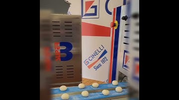 Automatic Bun Divider and Rounder