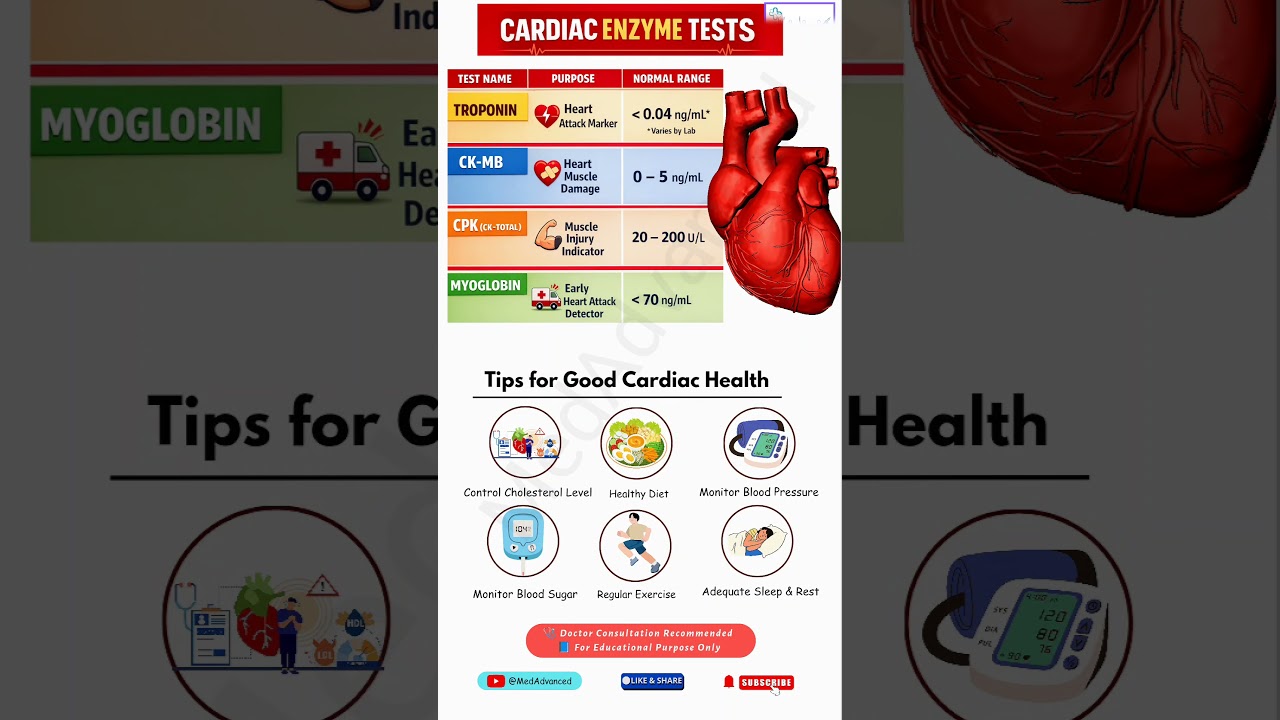 Cardiac Enzyme Test Explained | Troponin, CK-MB, Myoglobin | Heart Attack Test